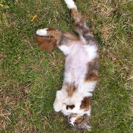 Ubytování v soukromí Spacieuse